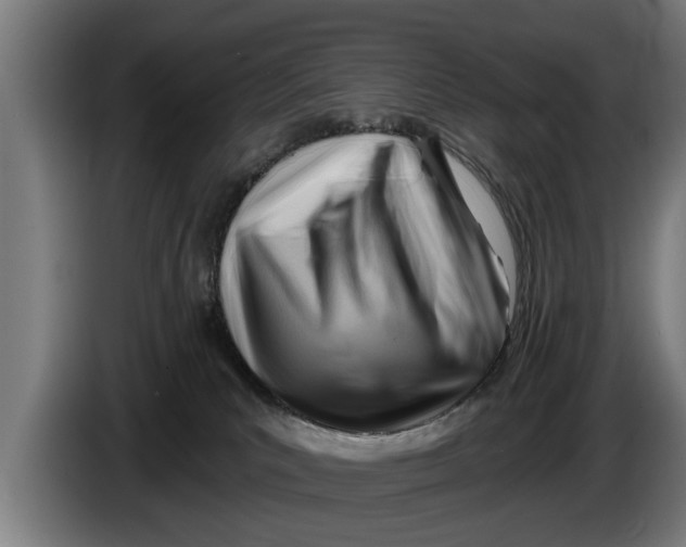 X0000086320039200704202030