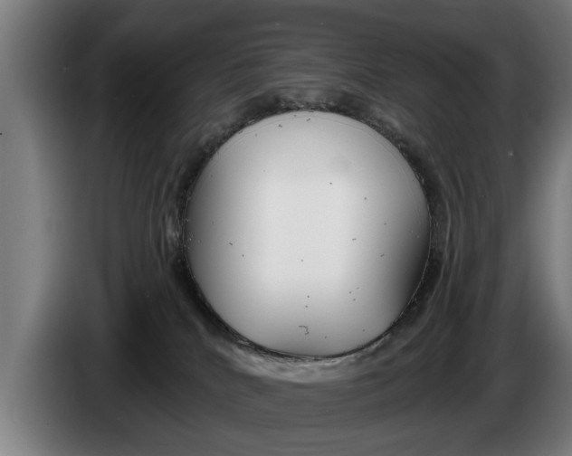 X0000086320040200704202030