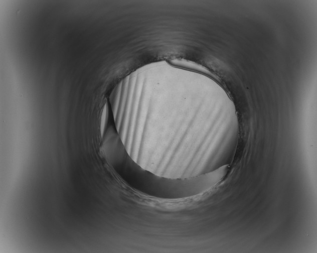 X0000086320041200704202030
