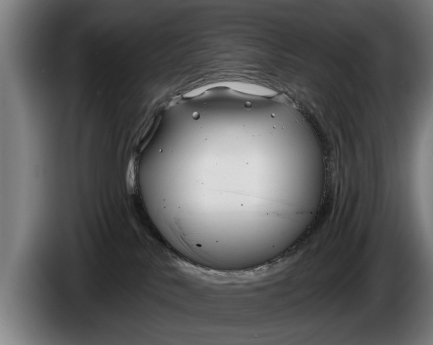 X0000086320042200704202030