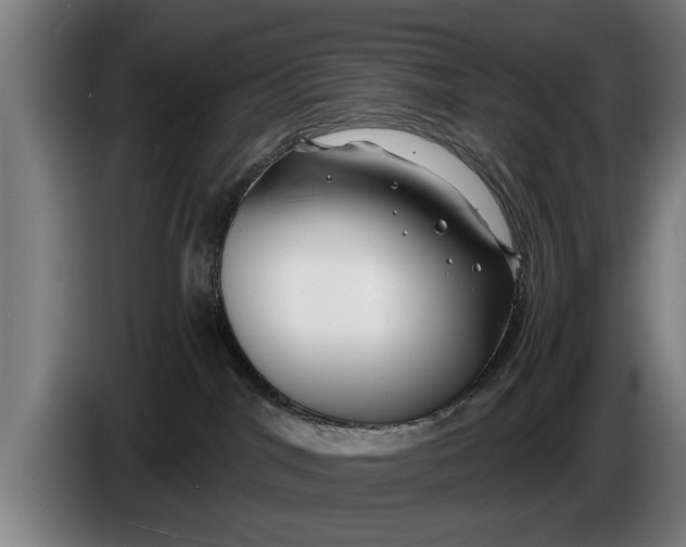 X0000086320044200704202030