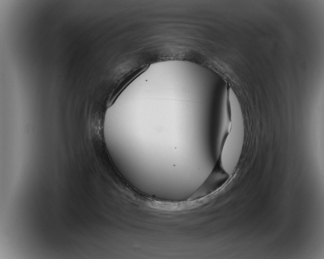 X0000086320045200704202030