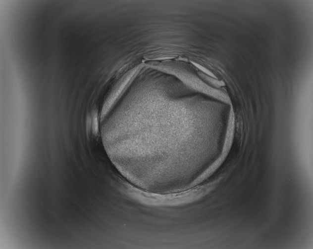 X0000086320046200704202030