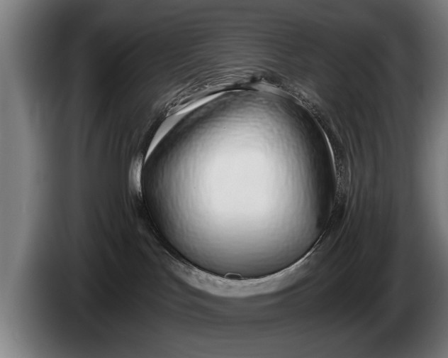 X0000086320047200704202030