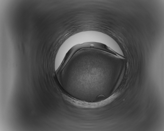 X0000086320048200704202030