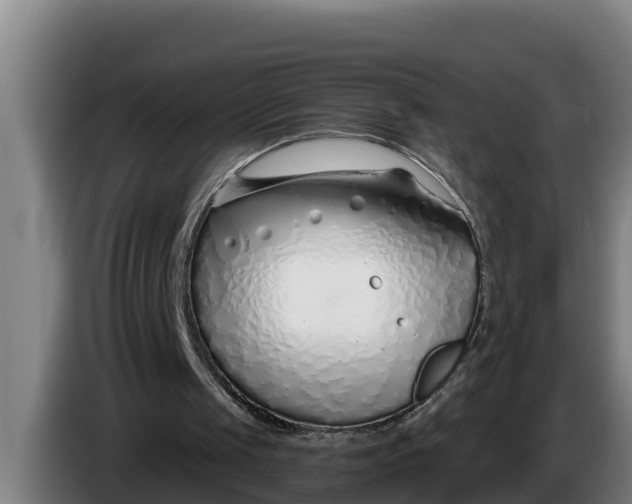 X0000086320049200704202030