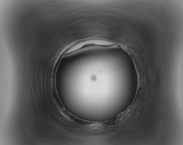 X0000086320050200704202030