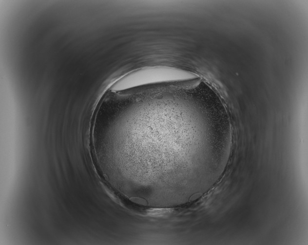 X0000086320051200704202030