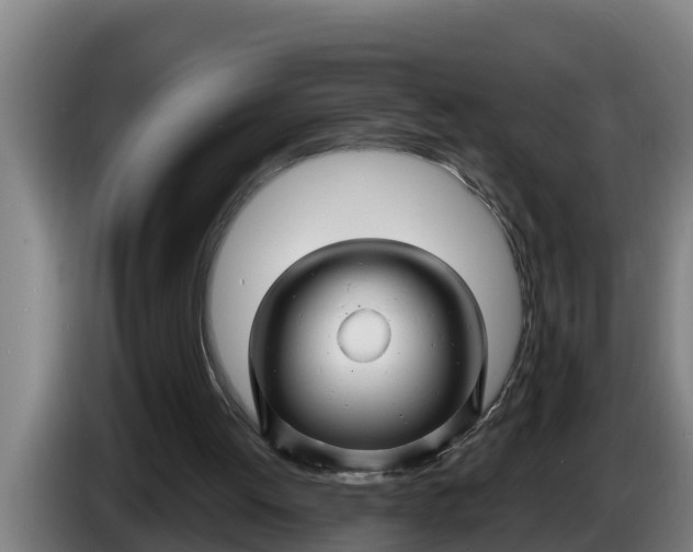 X0000086320052200704202030