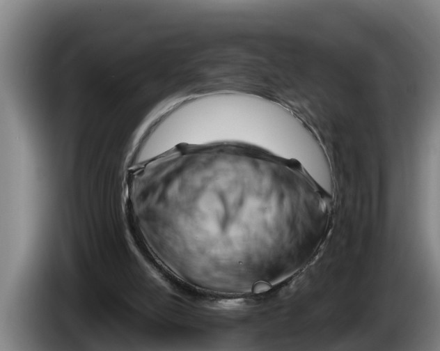 X0000086320054200704202030