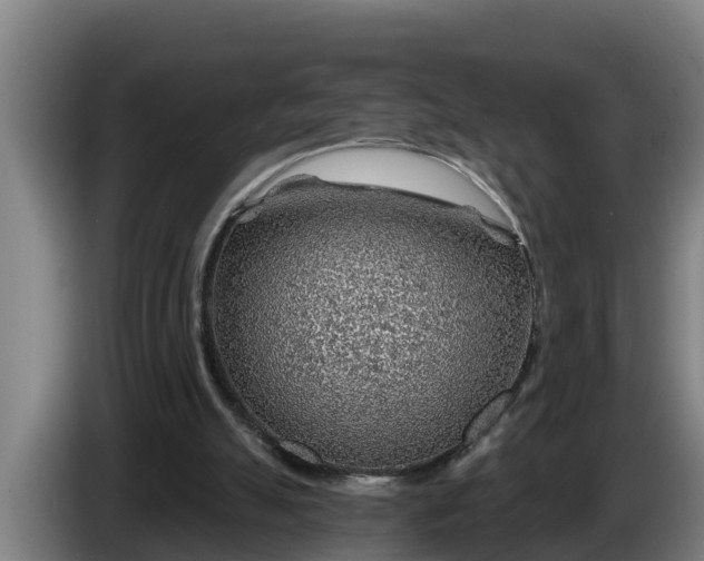X0000086320055200704202030