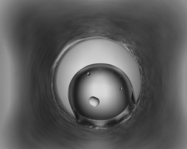X0000086320056200704202030