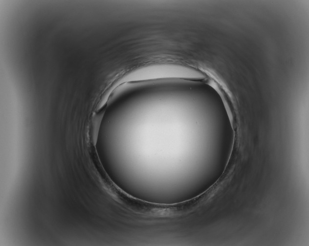 X0000086320057200704202030