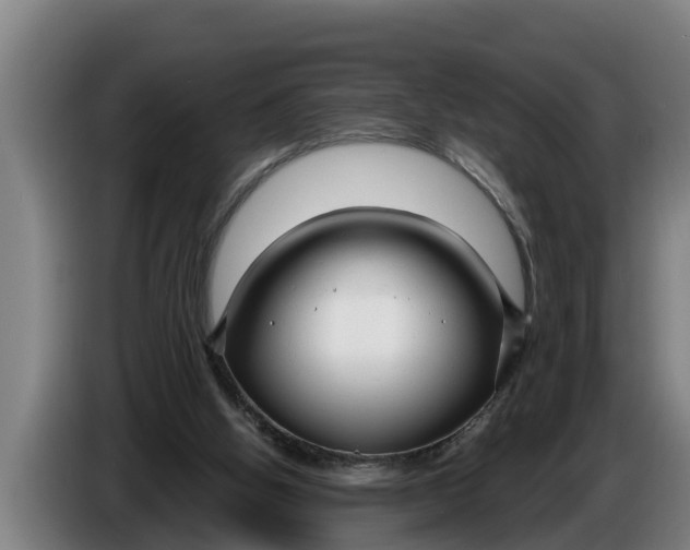 X0000086320058200704202030