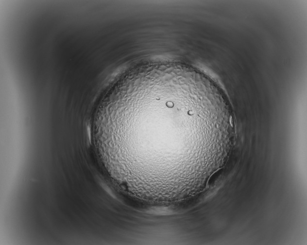 X0000086320061200704202030