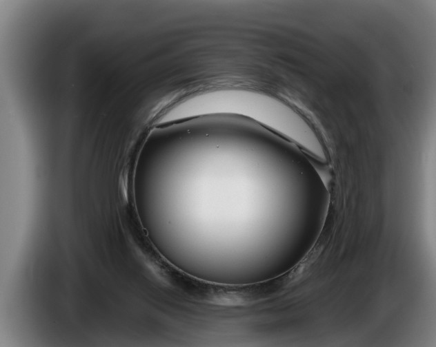X0000086320062200704202030