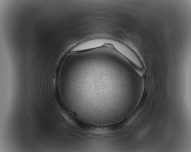 X0000086320063200704202030