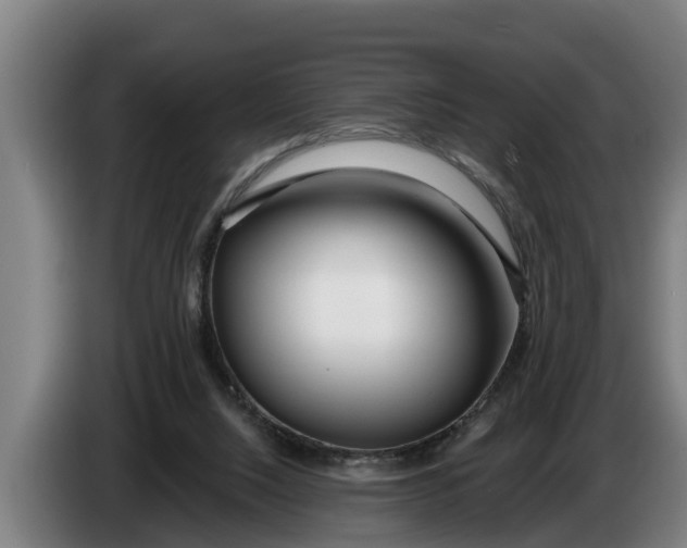 X0000086320064200704202030