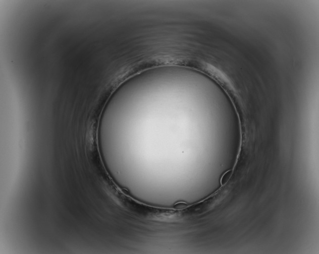 X0000086320065200704202030