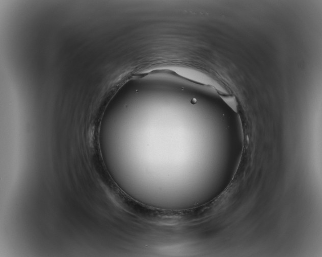 X0000086320066200704202030