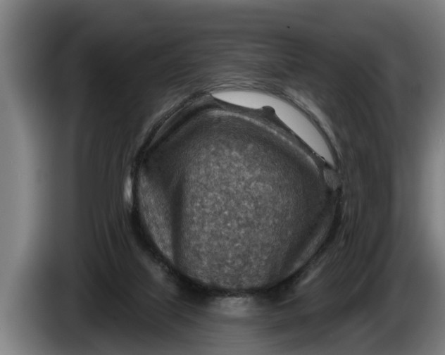X0000086320067200704202030