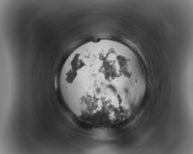 X0000086320069200704202030