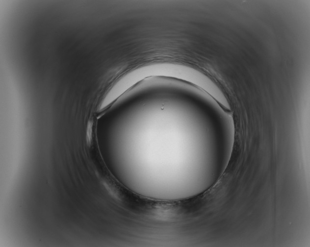 X0000086320070200704202030