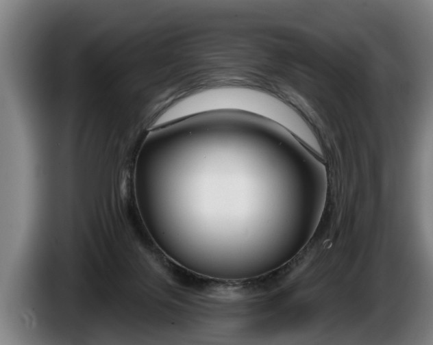 X0000086320071200704202030