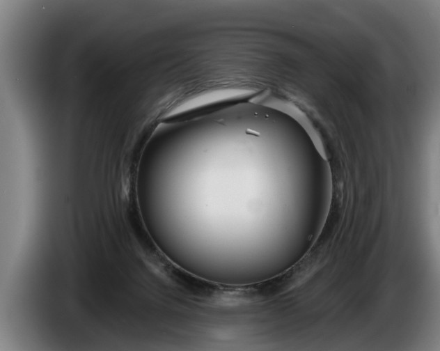 X0000086320072200704202030