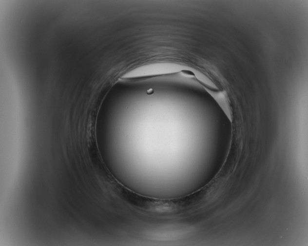X0000086320073200704202030