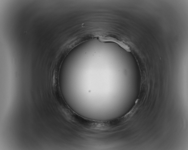 X0000086320074200704202030