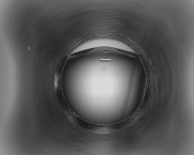 X0000086320075200704202030