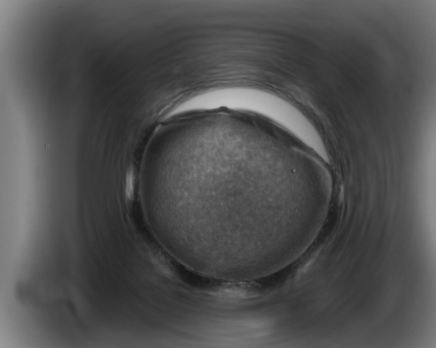 X0000086320076200704202030