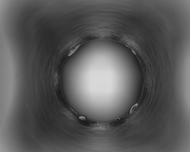 X0000086320077200704202030