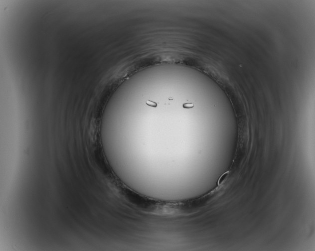 X0000086320078200704202030