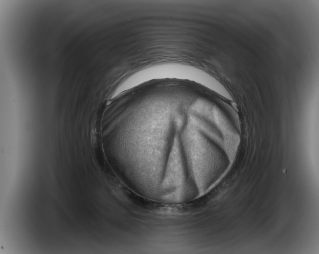 X0000086320080200704202030