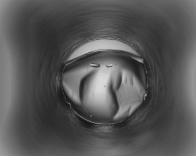 X0000086320081200704202030