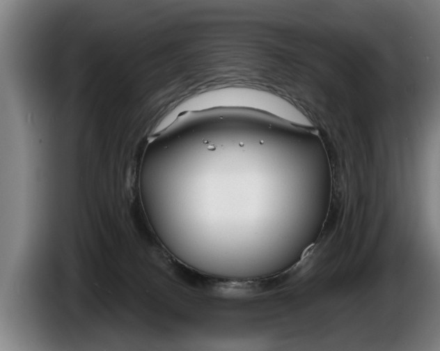 X0000086320082200704202030