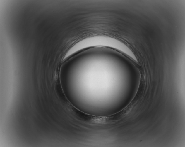 X0000086320084200704202030