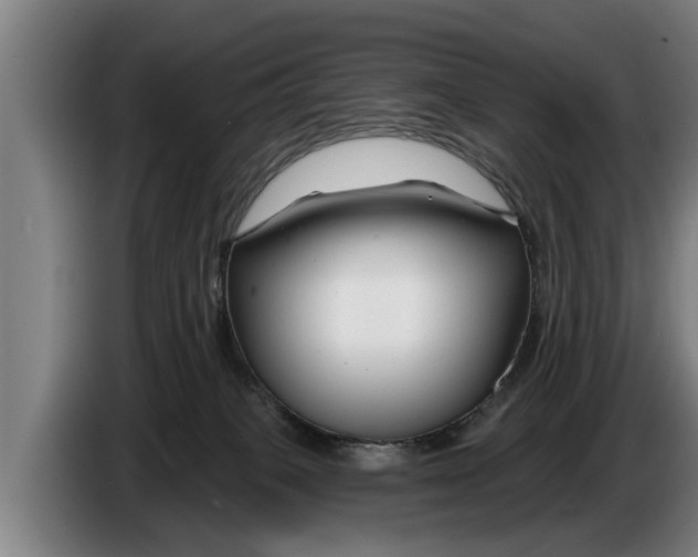 X0000086320085200704202030