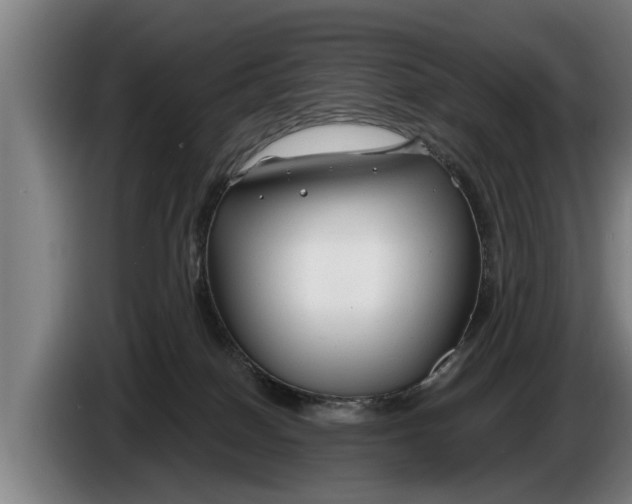 X0000086320086200704202030