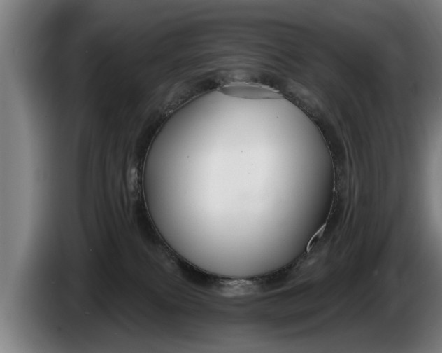 X0000086320087200704202030
