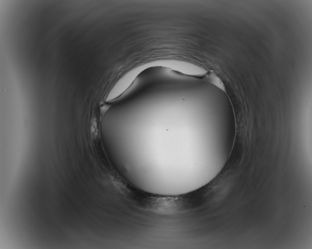 X0000086320089200704202030