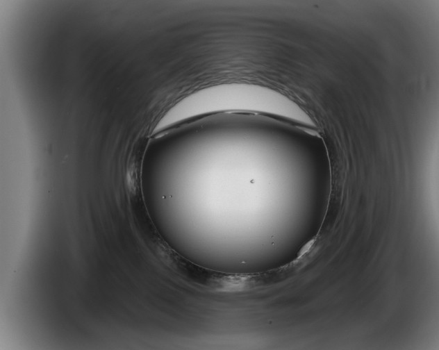 X0000086320090200704202030