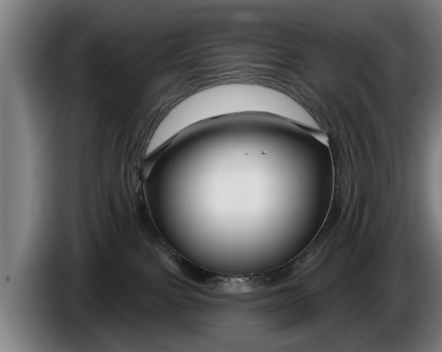 X0000086320091200704202030