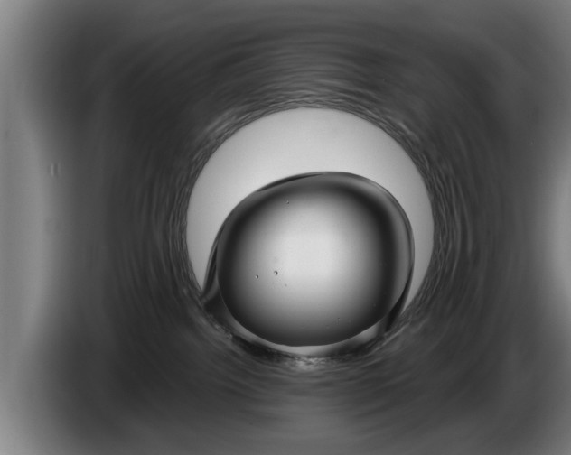 X0000086320092200704202030