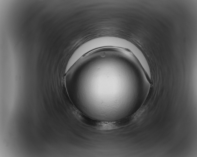 X0000086320093200704202030
