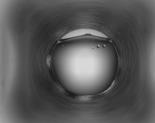 X0000086320094200704202030
