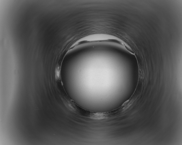 X0000086320095200704202030