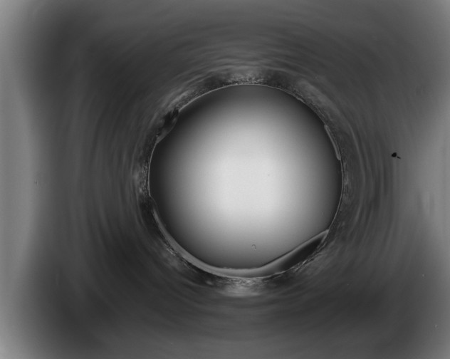 X0000086320096200704202030
